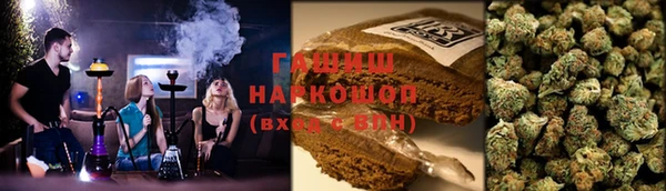 хмурый Мегион