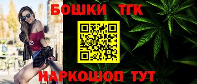 мдпв Абакан