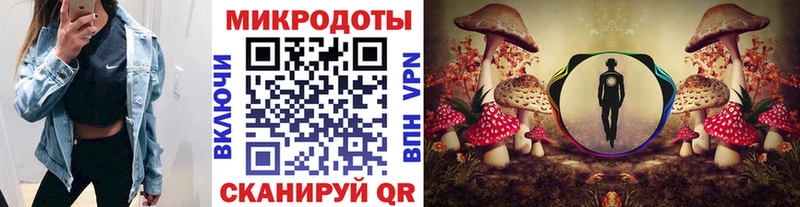 маркетплейс состав  Киров  Псилоцибиновые грибы GOLDEN TEACHER 