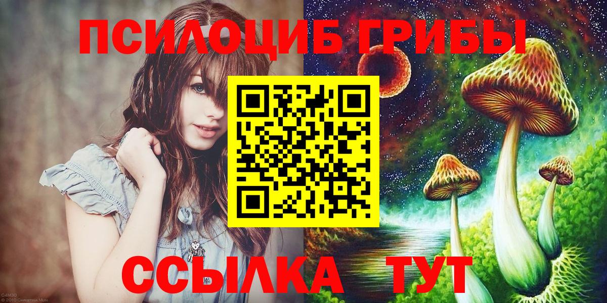 Псилоцибиновые грибы Psilocybe  цена наркотик  Киров 