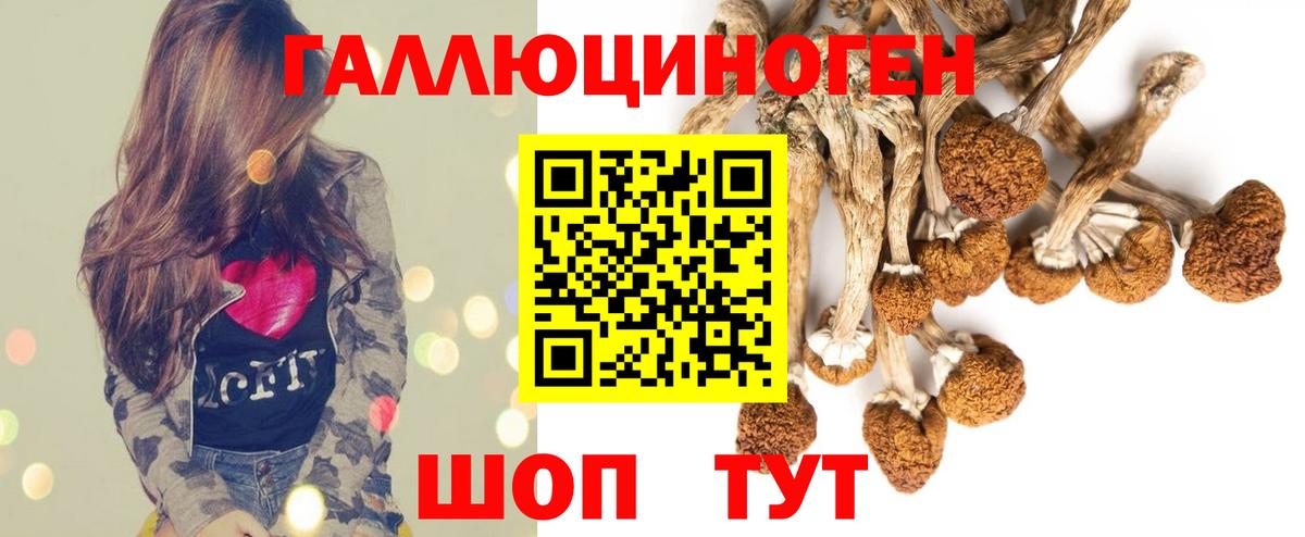 Галлюциногенные грибы Psilocybine cubensis  Вход с VPN  Киров 
