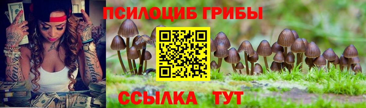 Киров  Галлюциногенные грибы ЛСД  Вход с VPN 