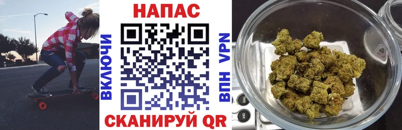 где найти наркотики Киров Бошки марихуана SATIVA & INDICA